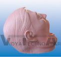 The mask of Ⅱstandard head membrane